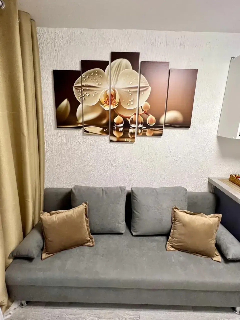 Апартаменты N3 на Петроградке