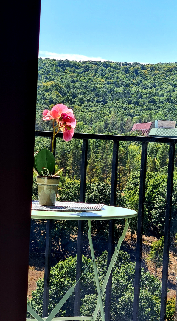 Nature View Designer Studio