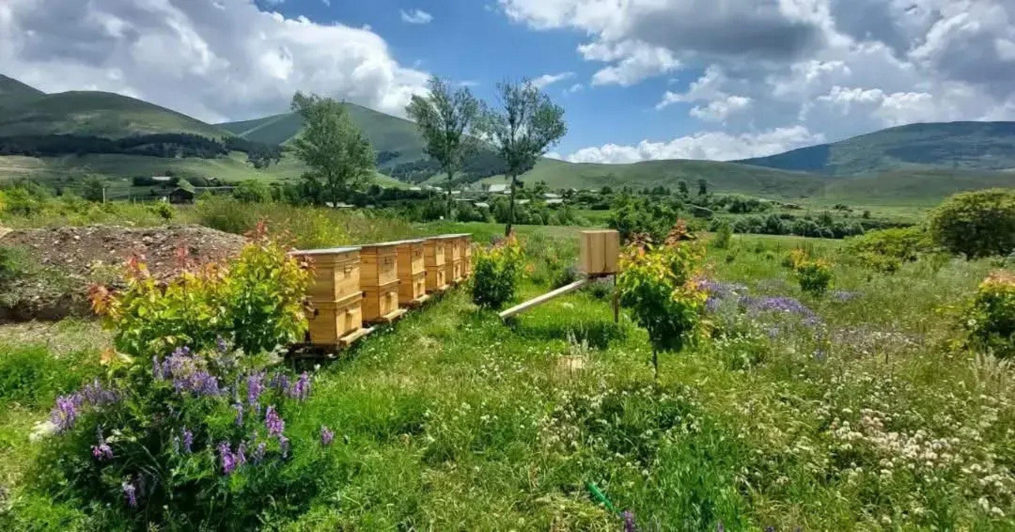 Частный дом Tooi Ecolodge