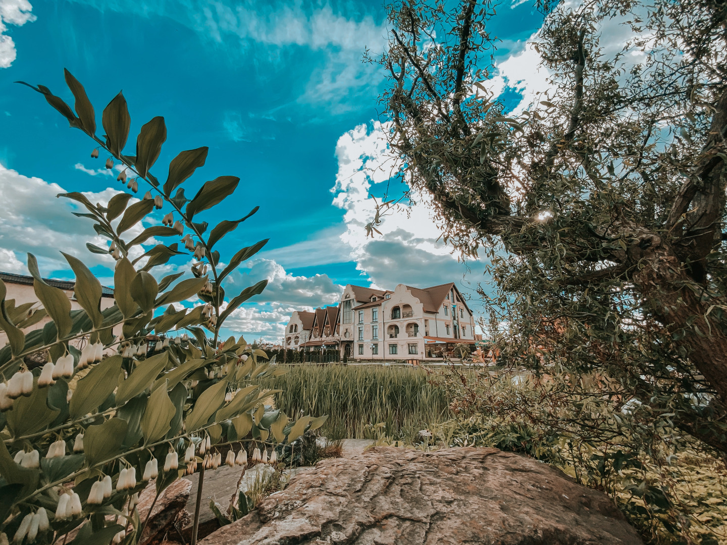 Отель Бережки-Холл