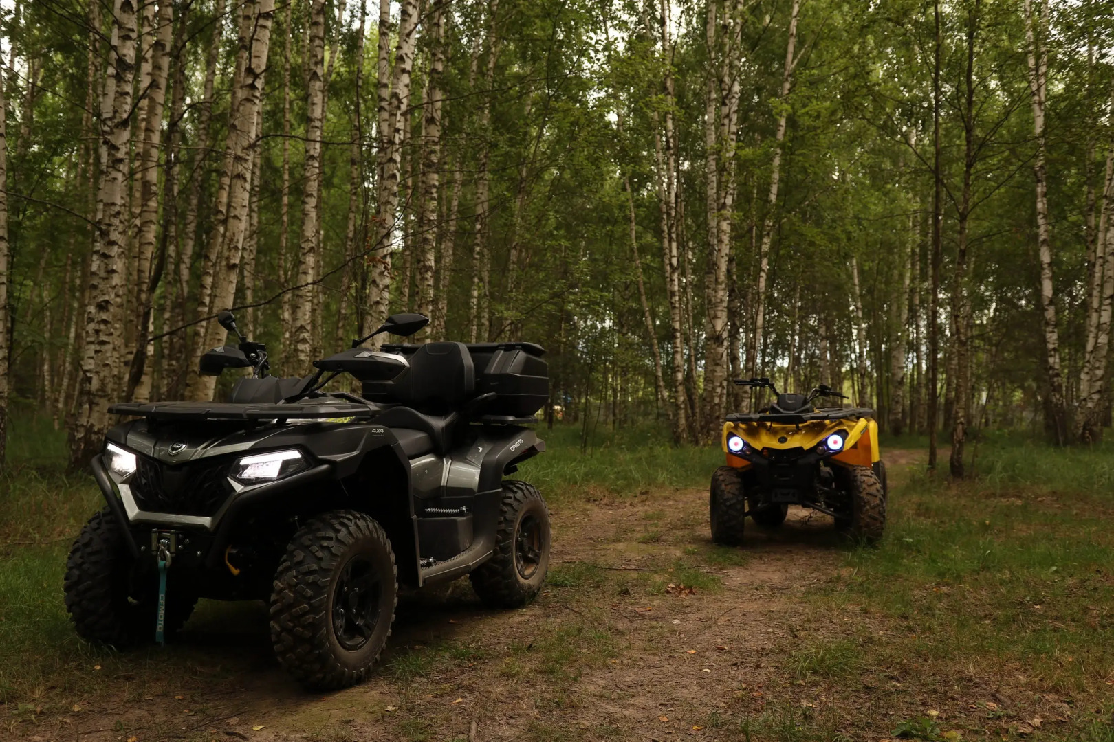 Шале Варилка