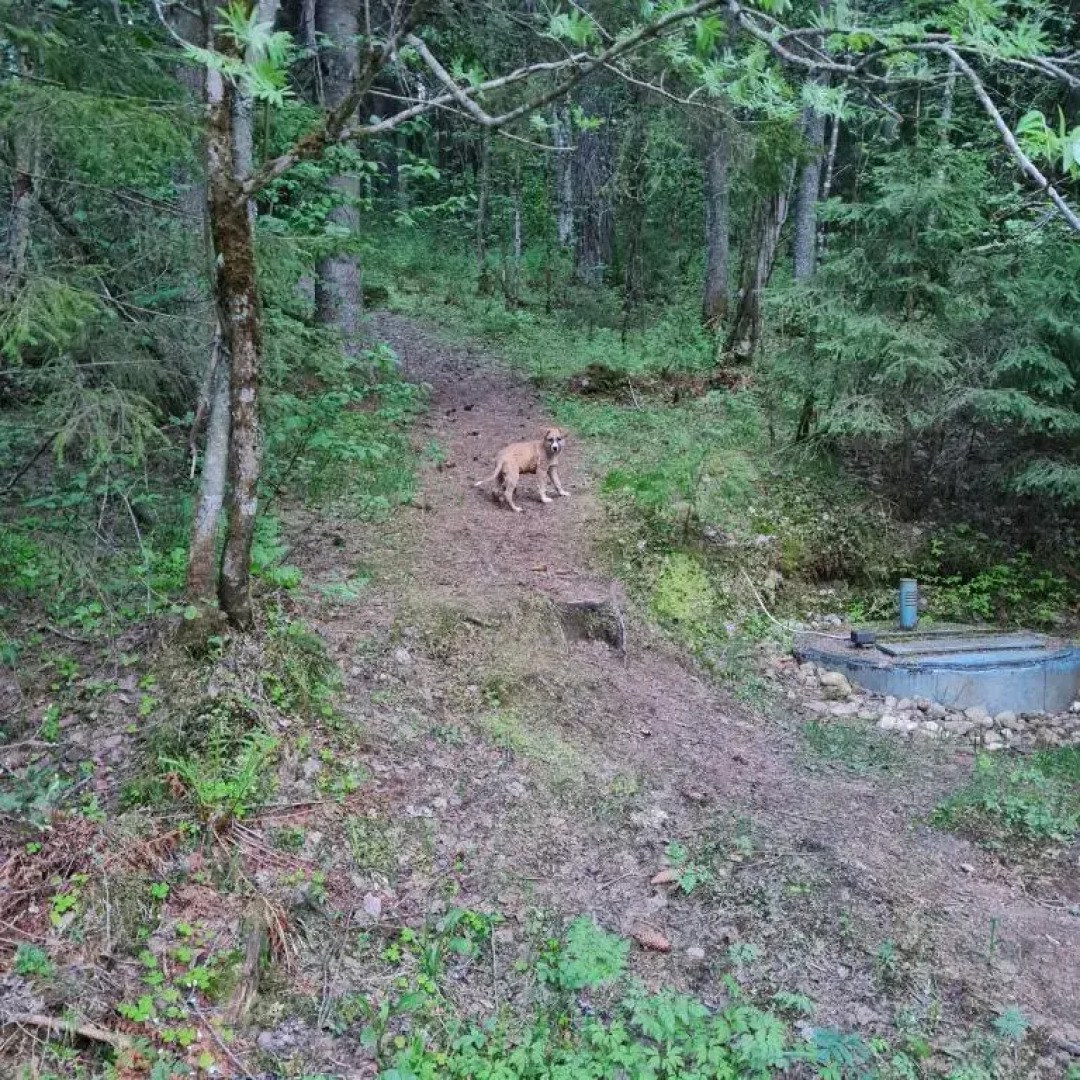 Апартаменты Валдай Пространство мечты 2