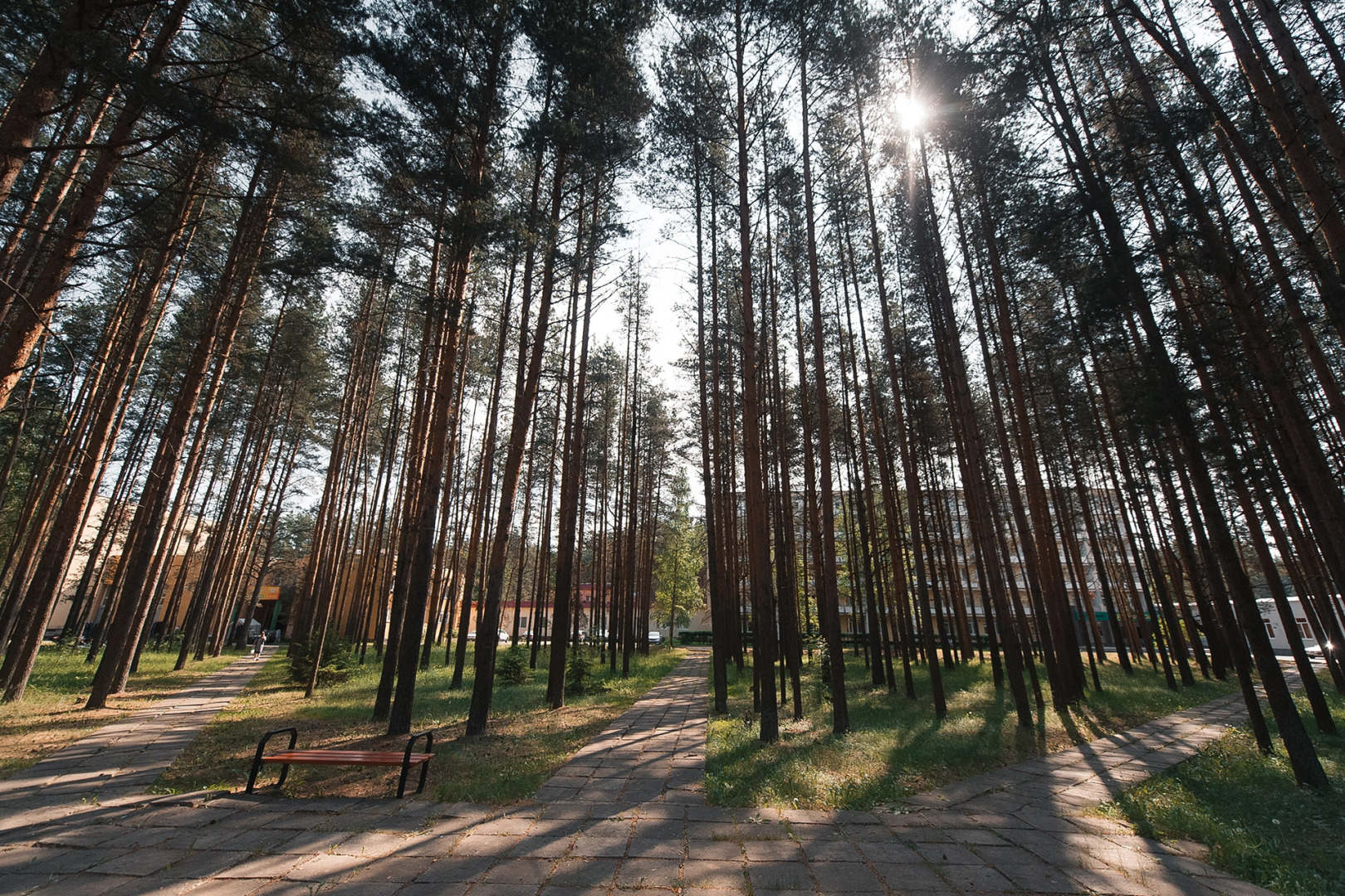 Санаторий Золотой Колос