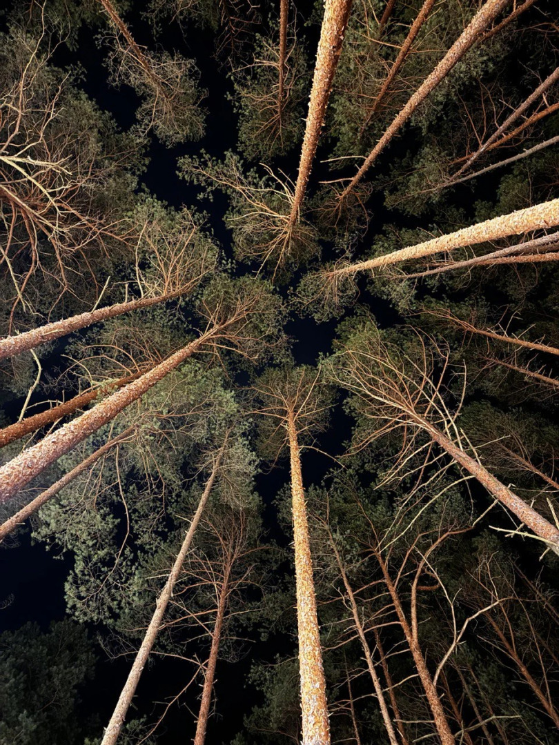 База отдыха Орша Ривер Клаб