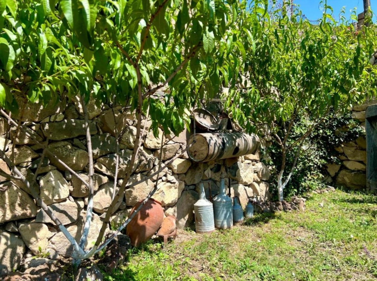 Гостевой дом Igor B&B