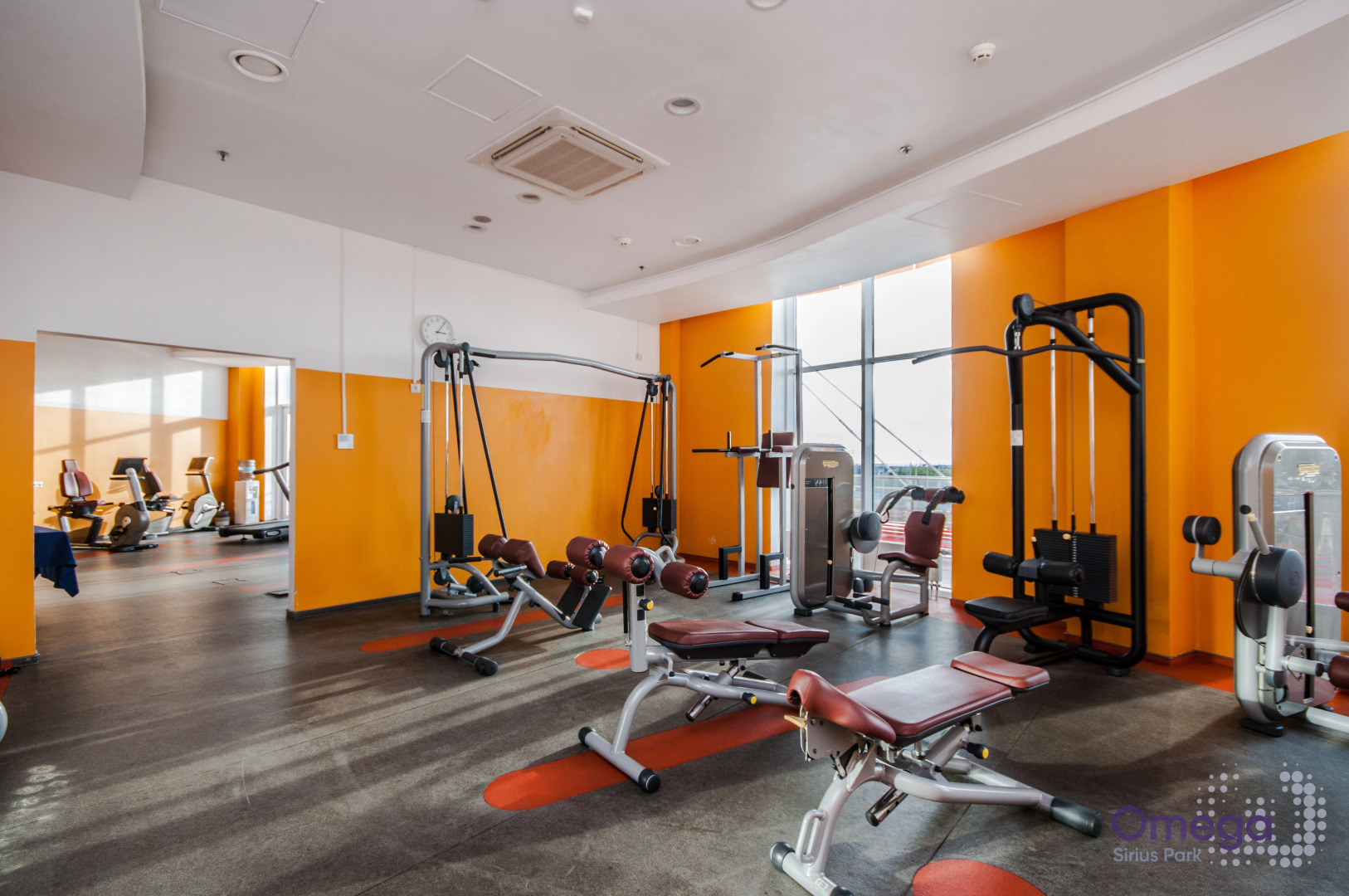 Отель Omega Sirius