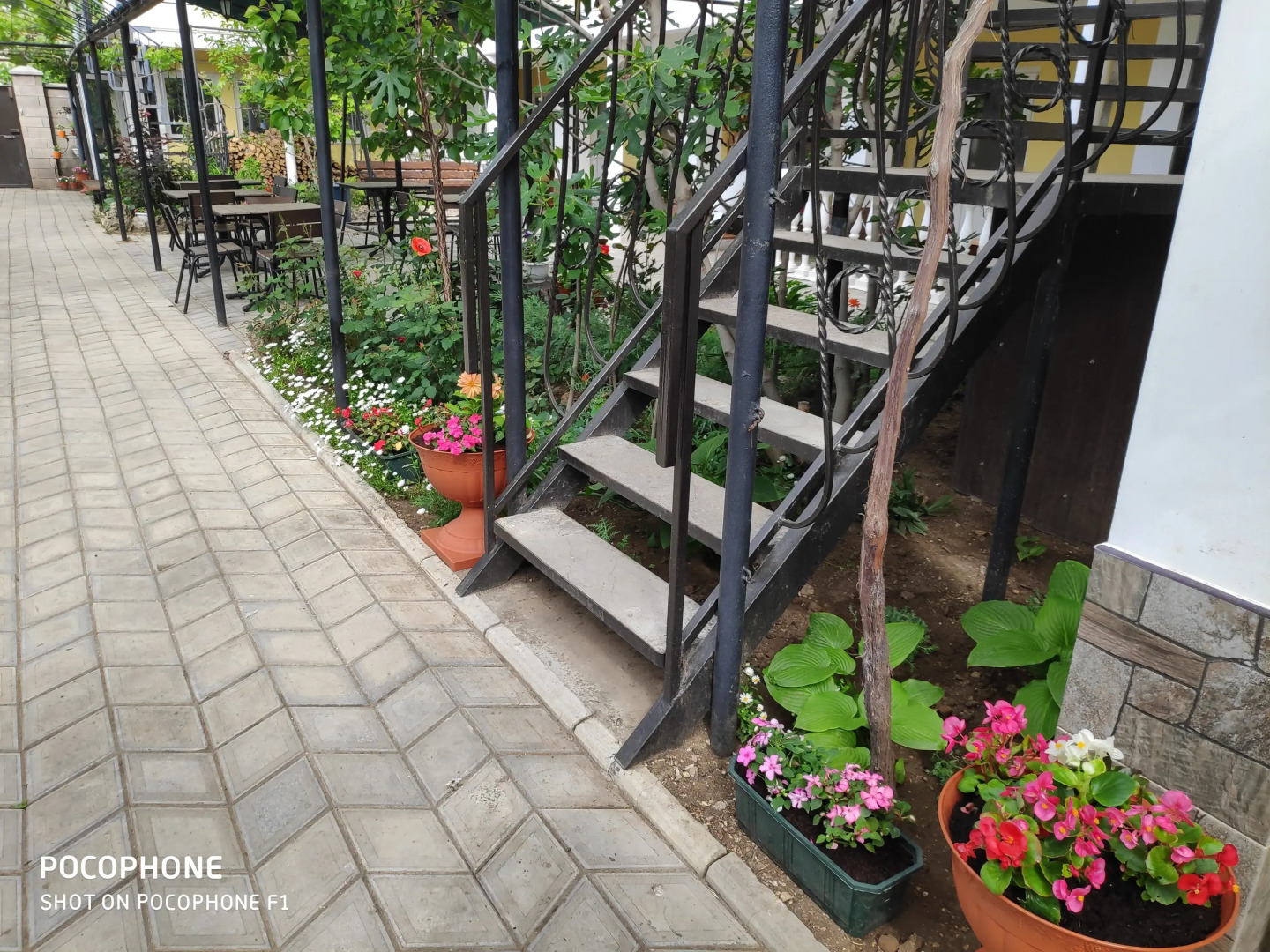 Меблированные комнаты У Чижика