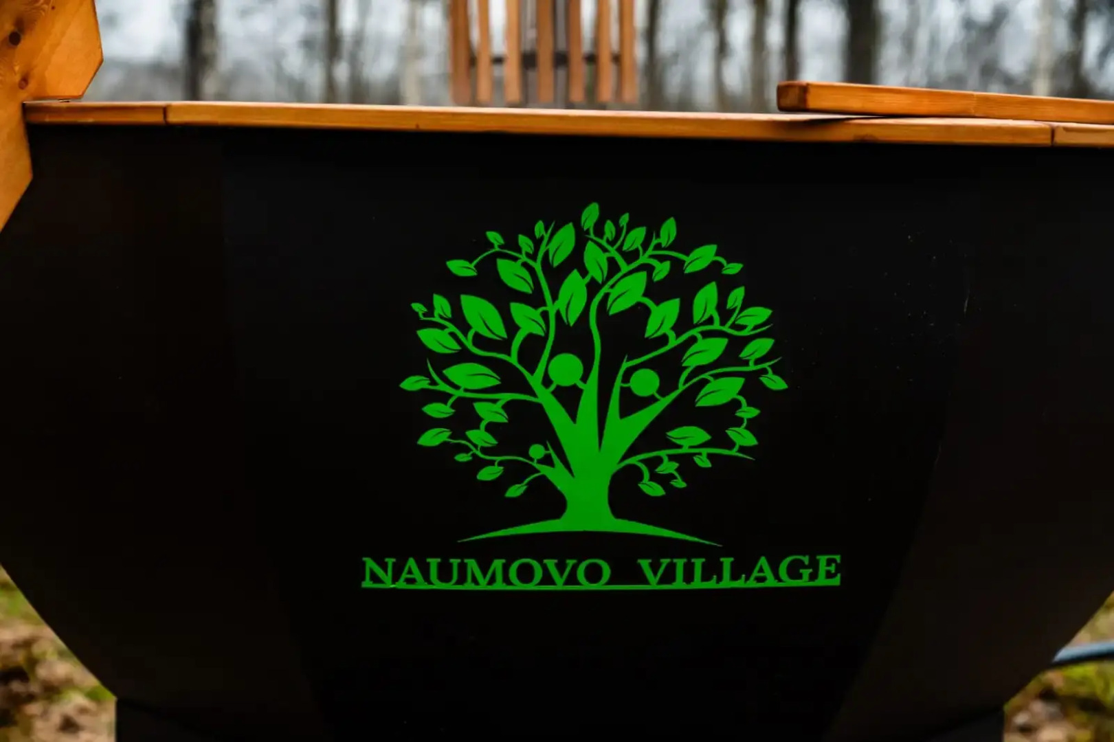 Частный дом Naumovo village