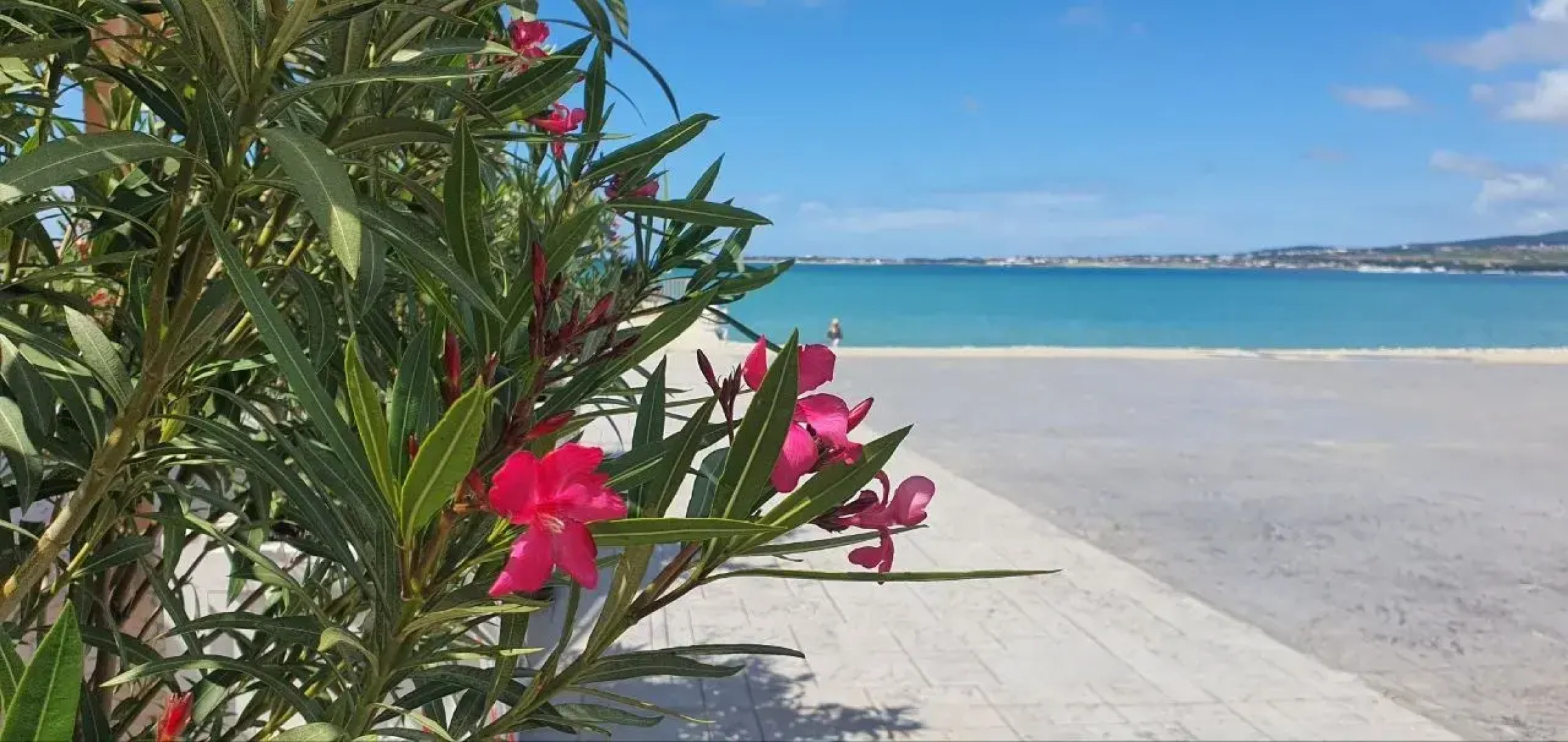 Квартира в Геленджике