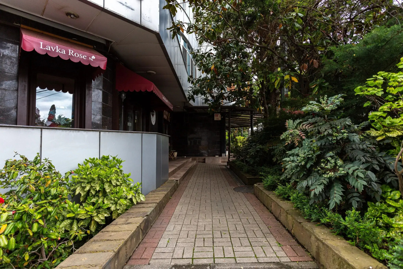 Квартира Просторная  в Центре Сочи на Первомайской Улице