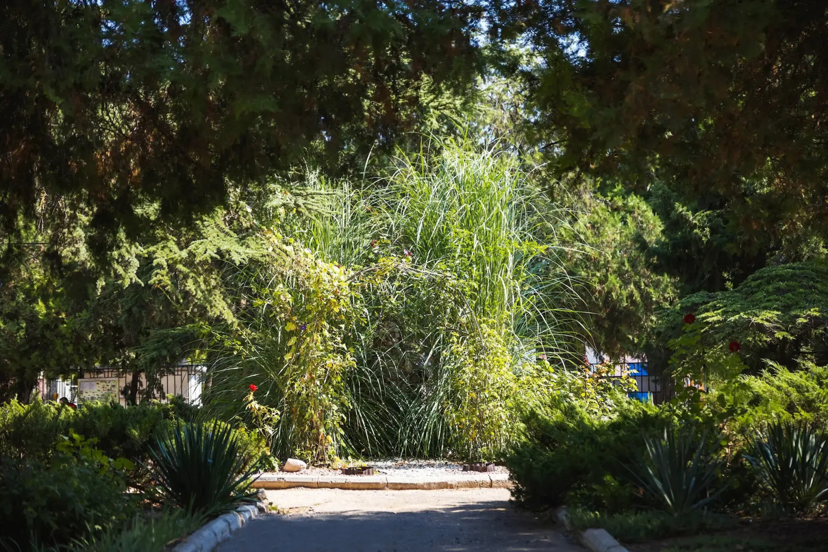 Санаторий Прибой