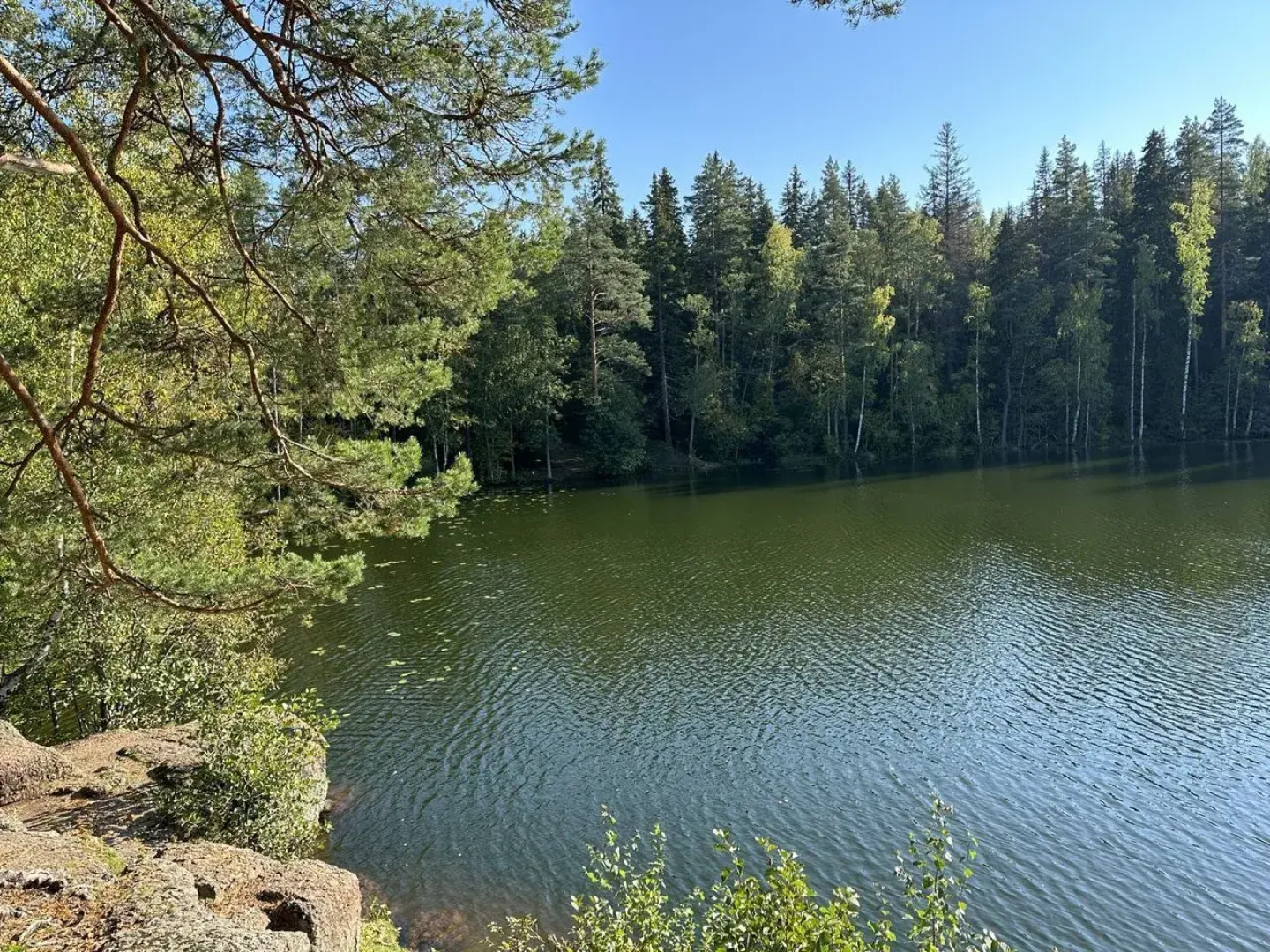 Частный дом Шепот леса