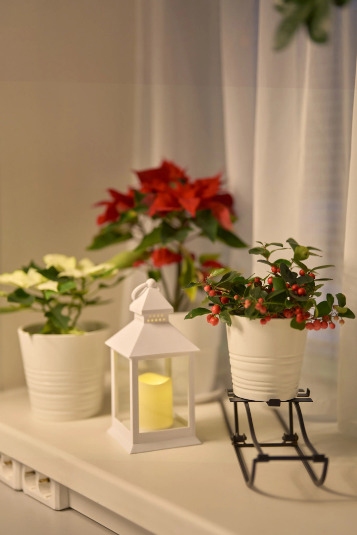 Отель Саквояж впечатлений