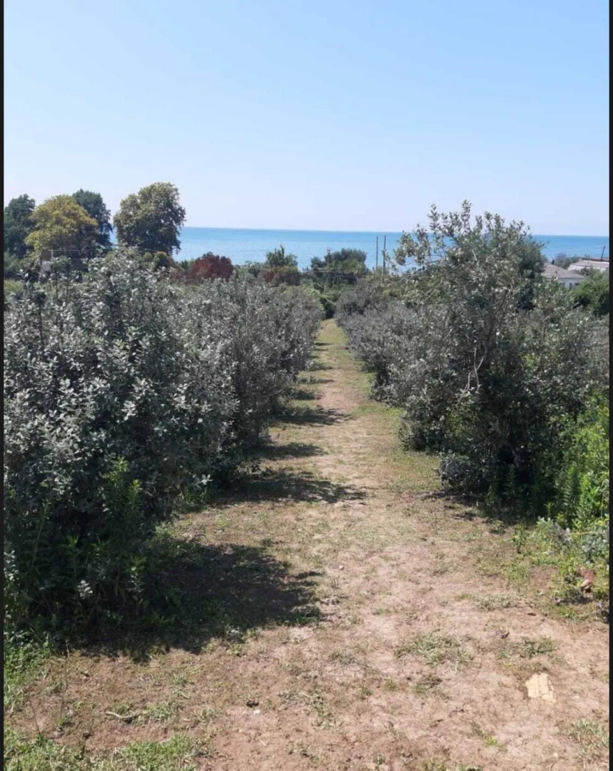 Гостевой Дом у Амины