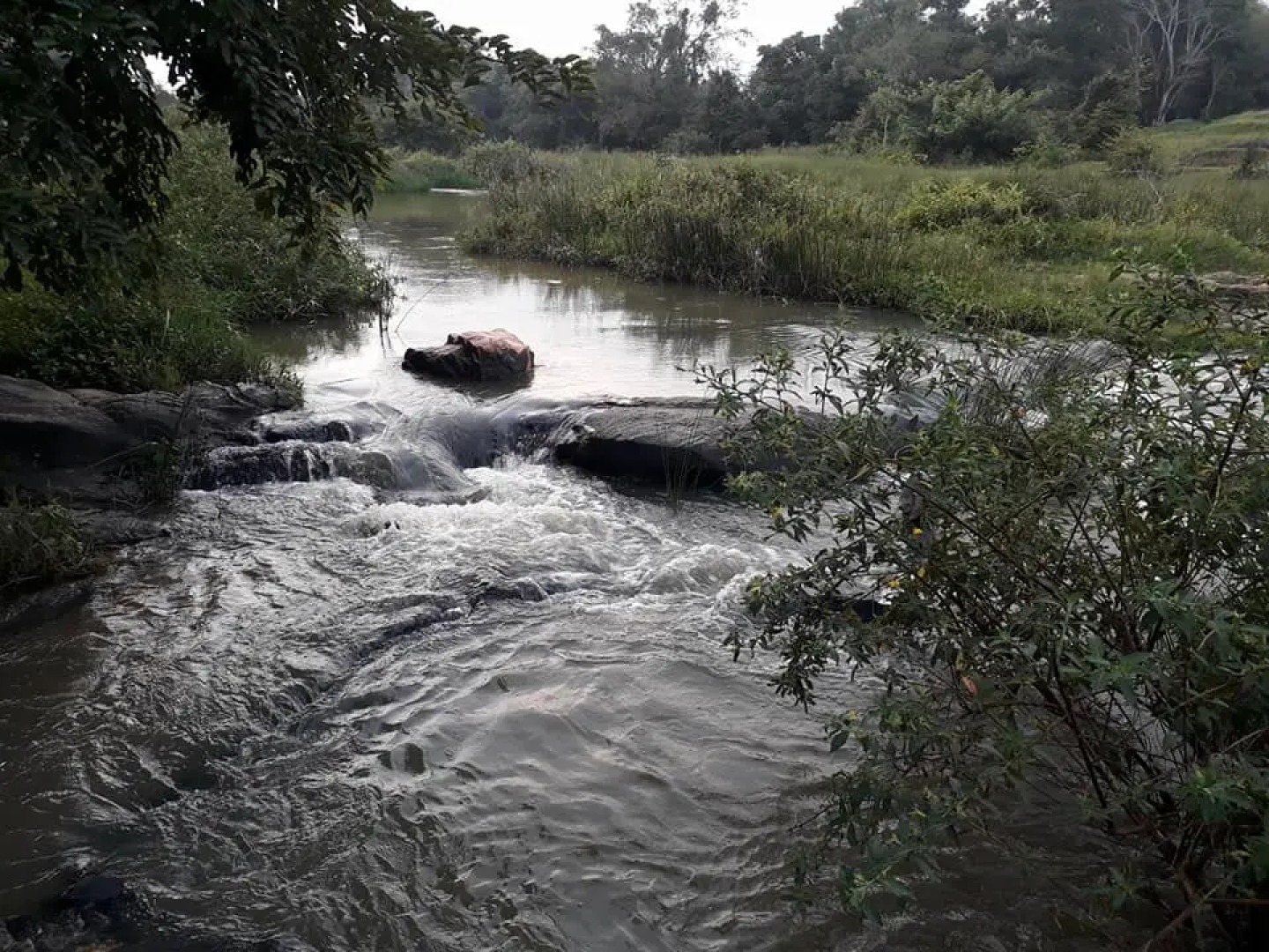 Кемпинг Farmers Son Ground