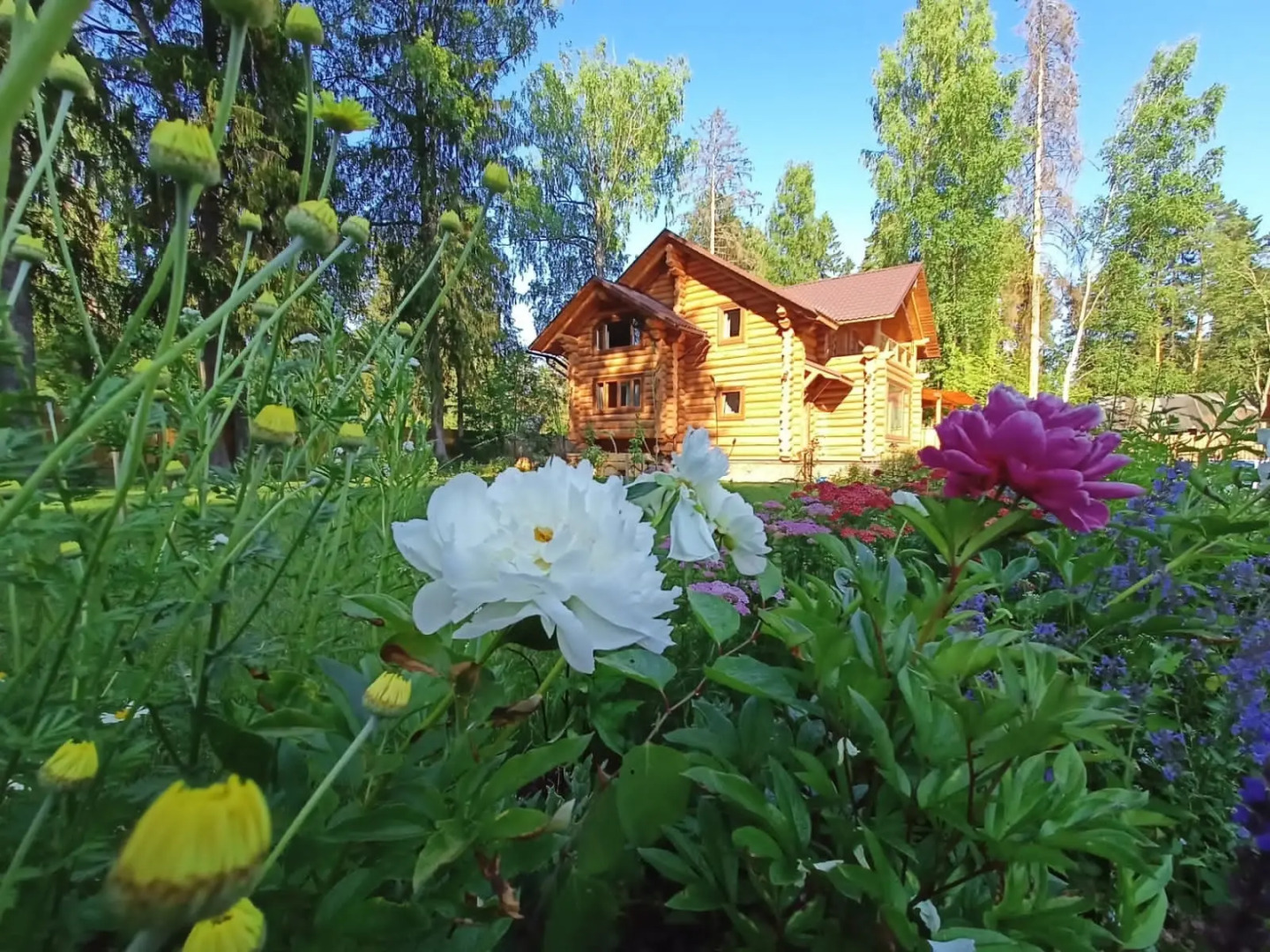 Гостевой Дом Вырицкий Мамонт