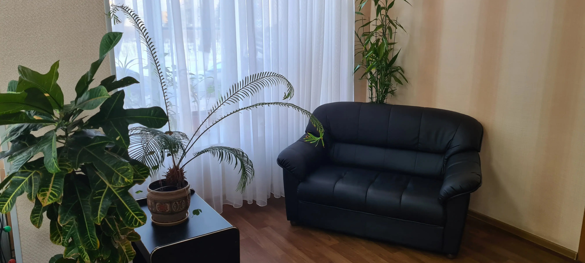 Отель Гостиница Волна