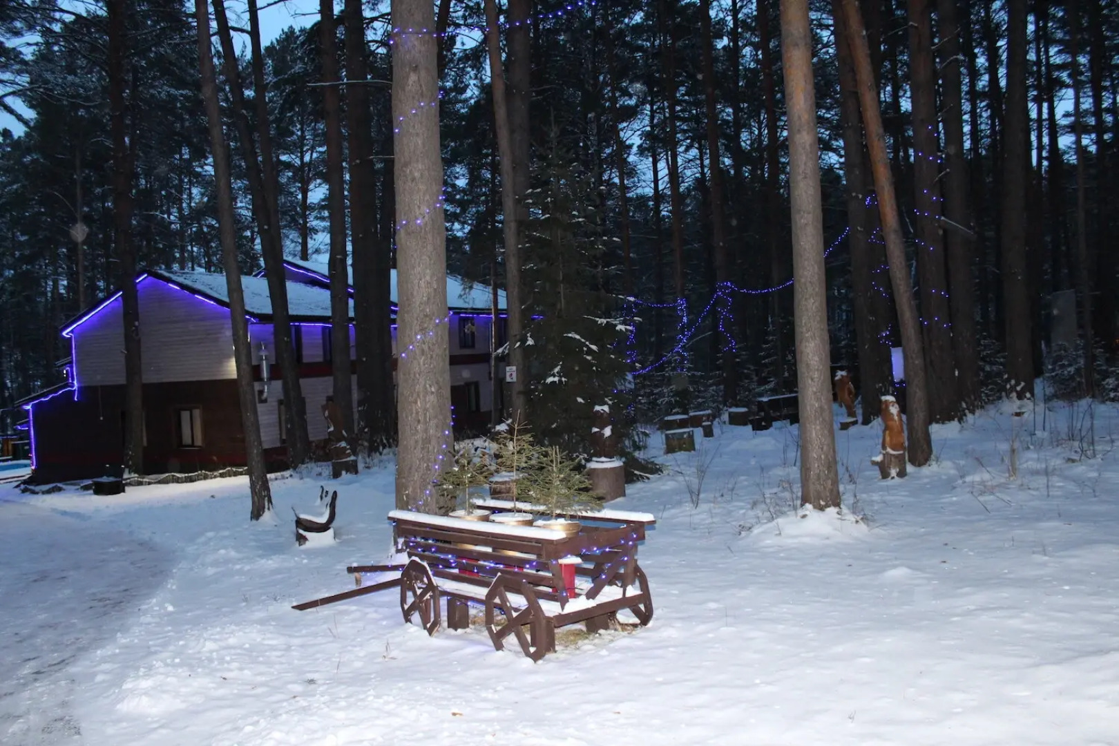 База отдыха Брусника