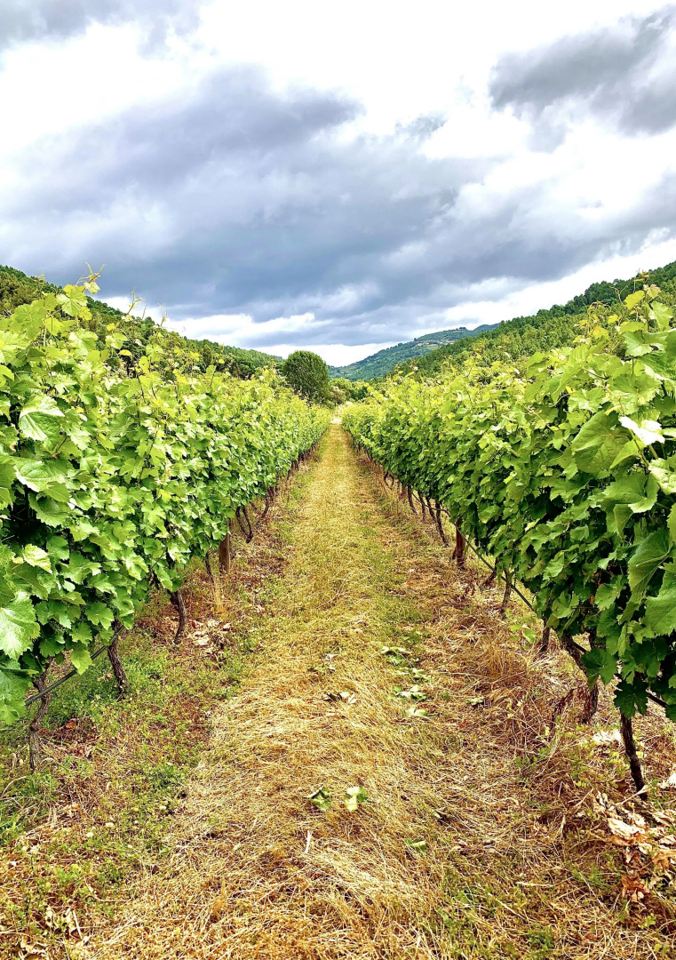 Мини-Отель Casa Grande do Seixo