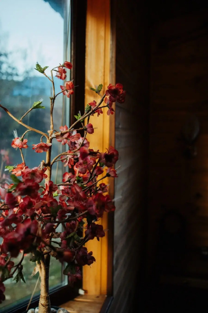 Гостевой дом Николина усадьба