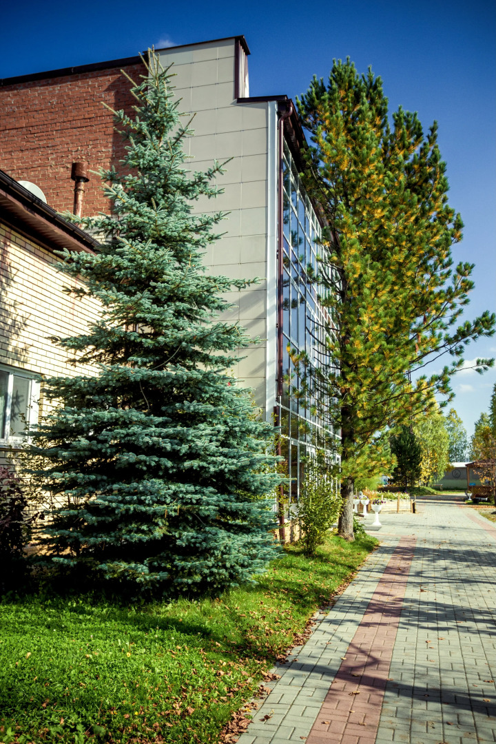 База отдыха Форелька