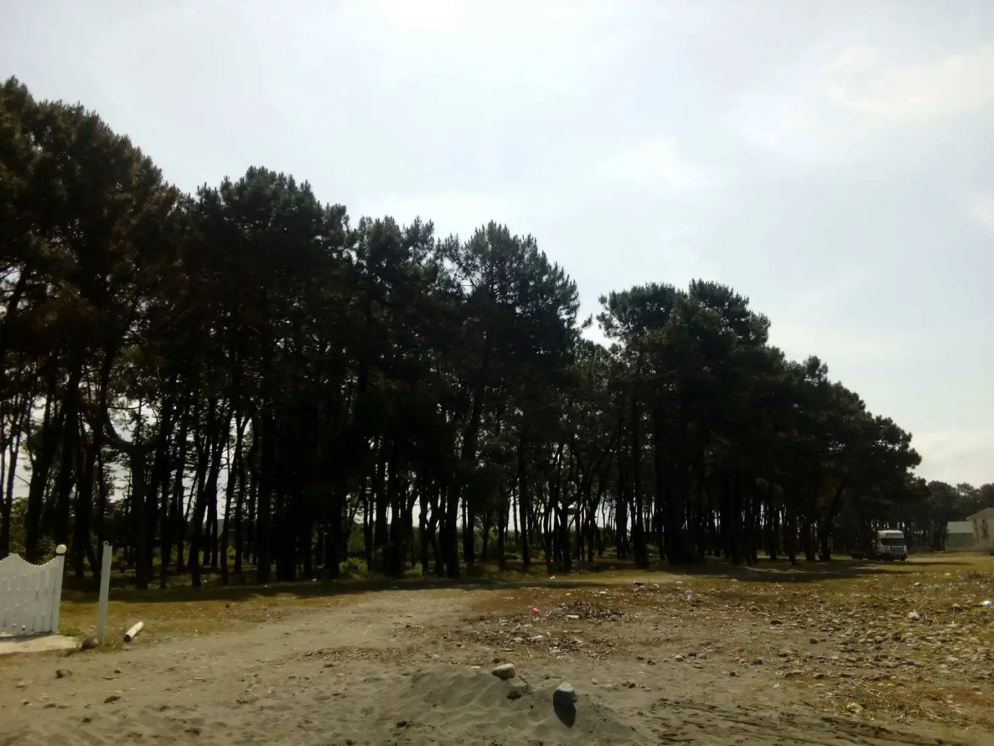 Отель Бахмаро 2812