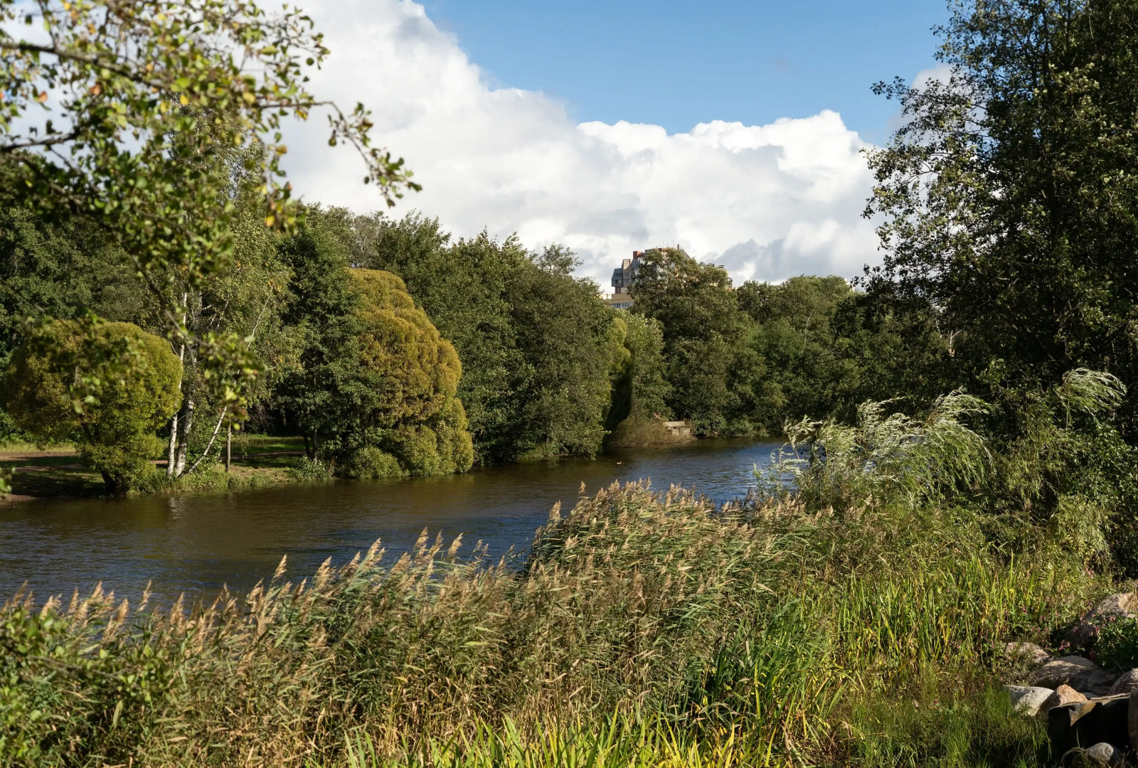 Апартаменты с Двумя Спальнями Рядом с Финским Заливом в Сестрорецке