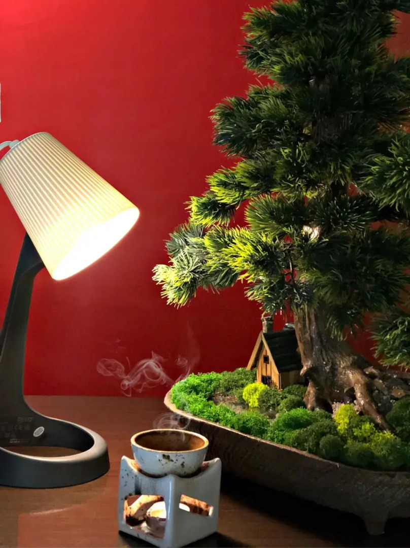 Отель Пония