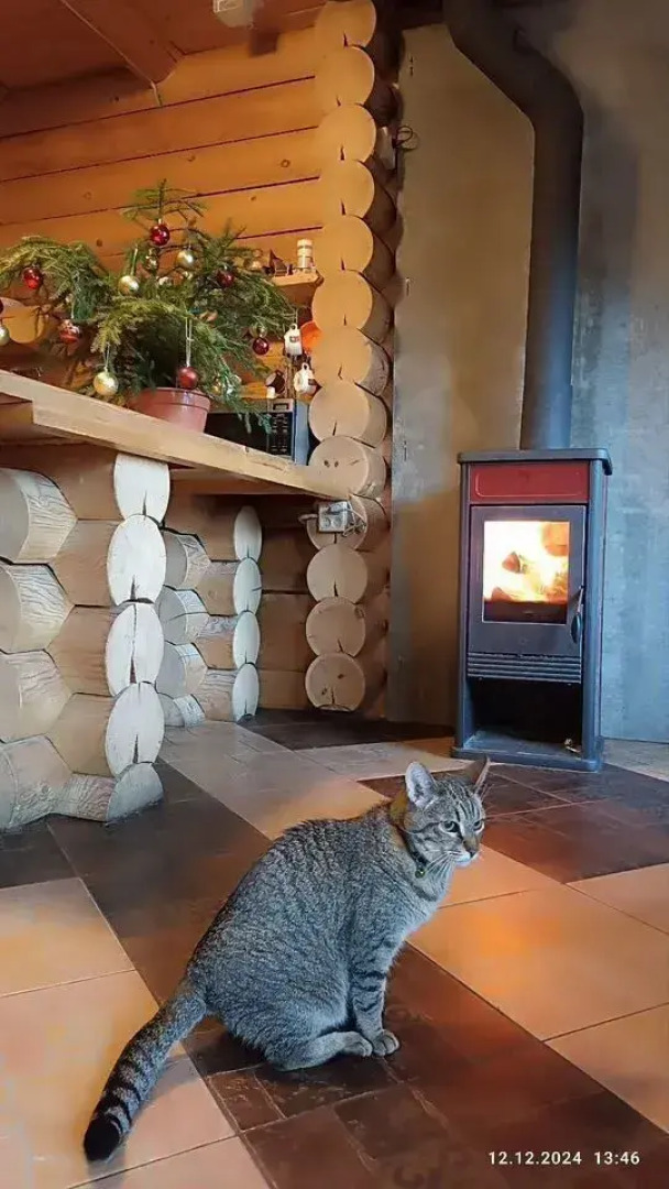 Частный дом на берегу Лемболовcкого озеpа