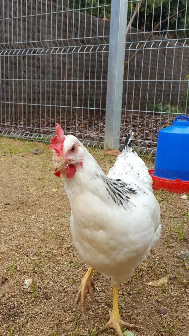 Апарт-Отель Rincón de Piedra BCN