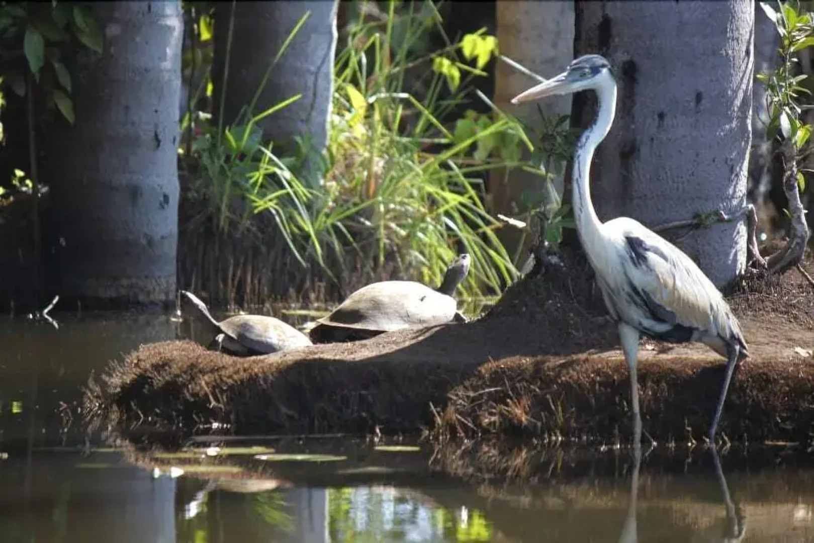 Гостевой Дом Ecolucerna Lodge