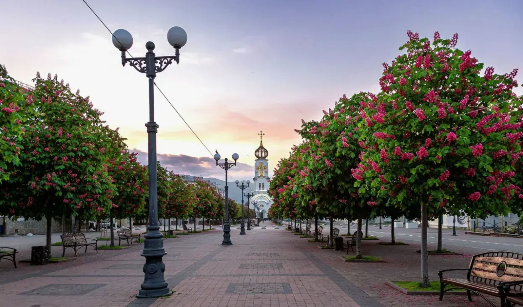 Апартаменты Мильфей 21-1