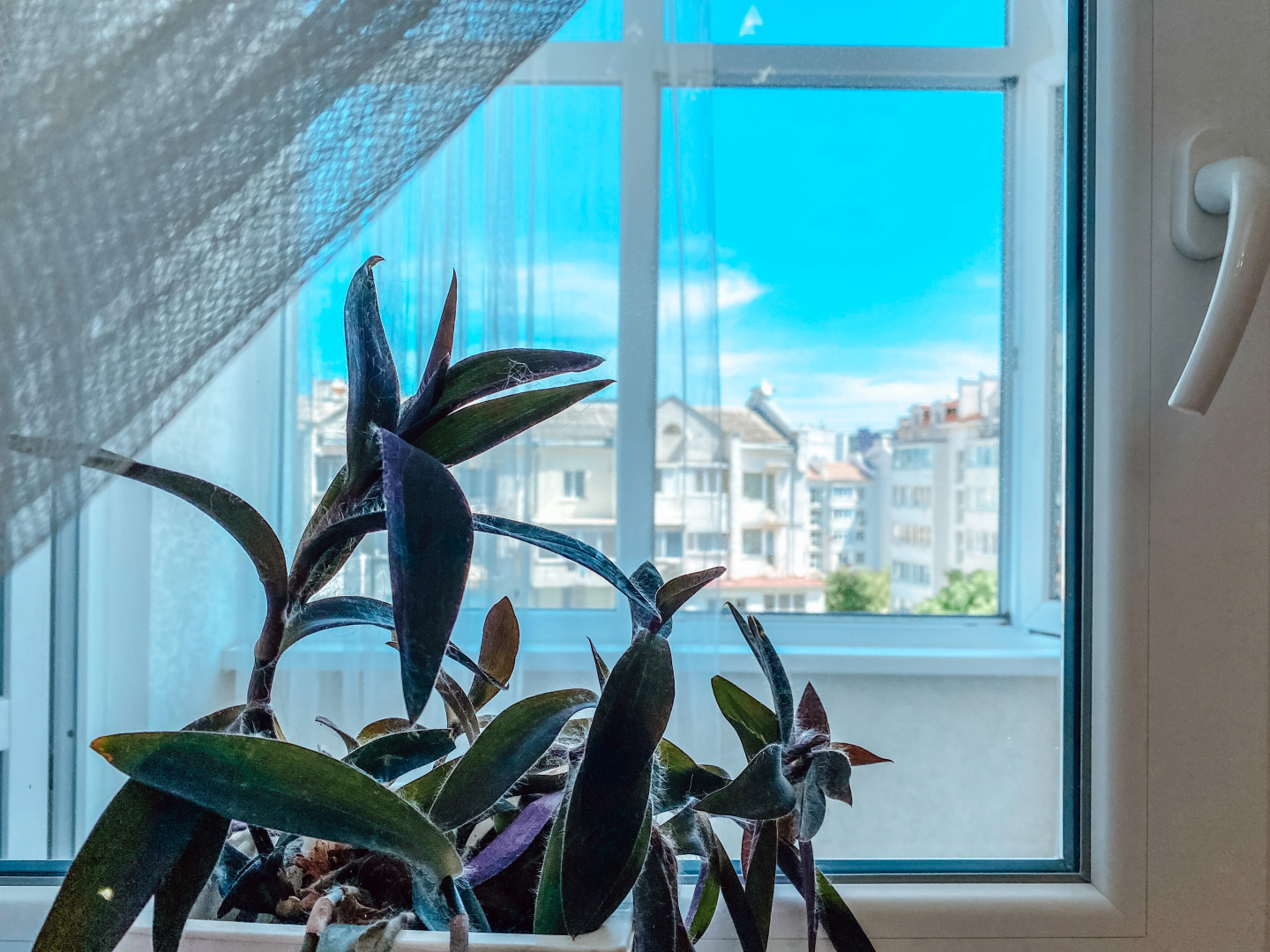 Квартира Нежная с Автопарковкой