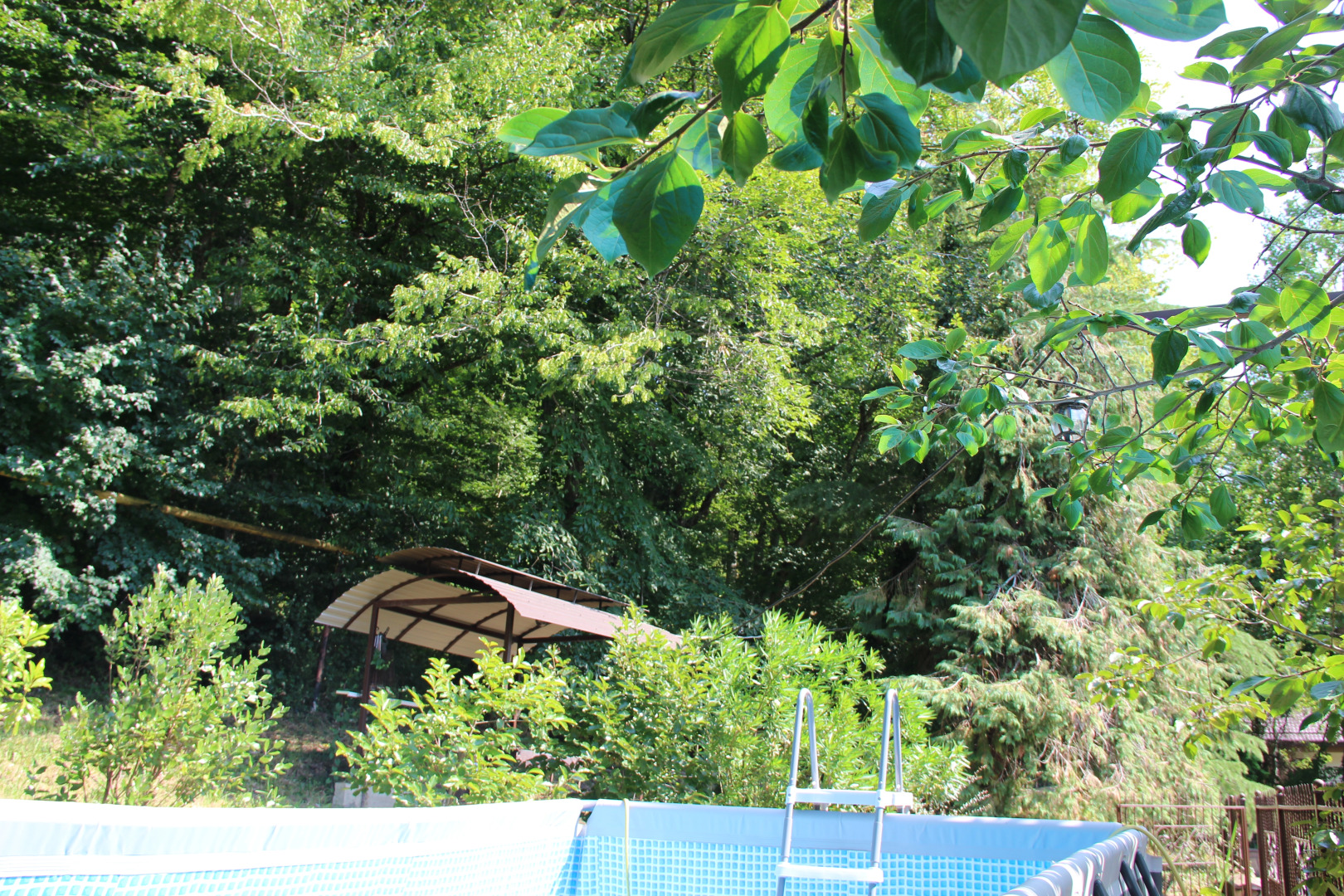 Гостевой дом Гринланд