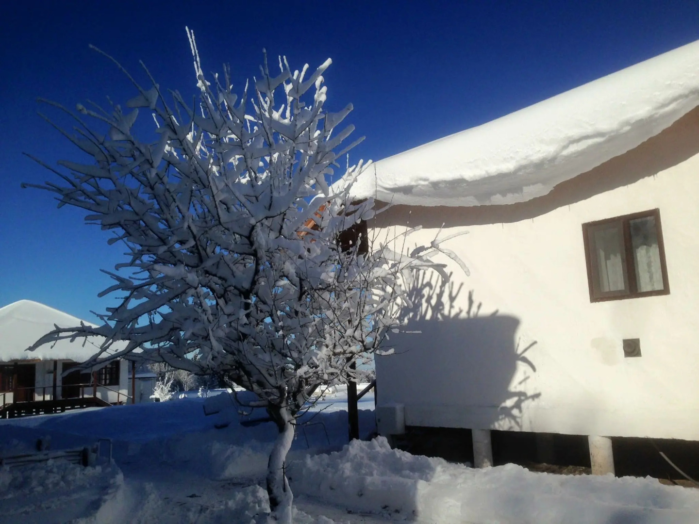 Ферма Колхидские Ворота