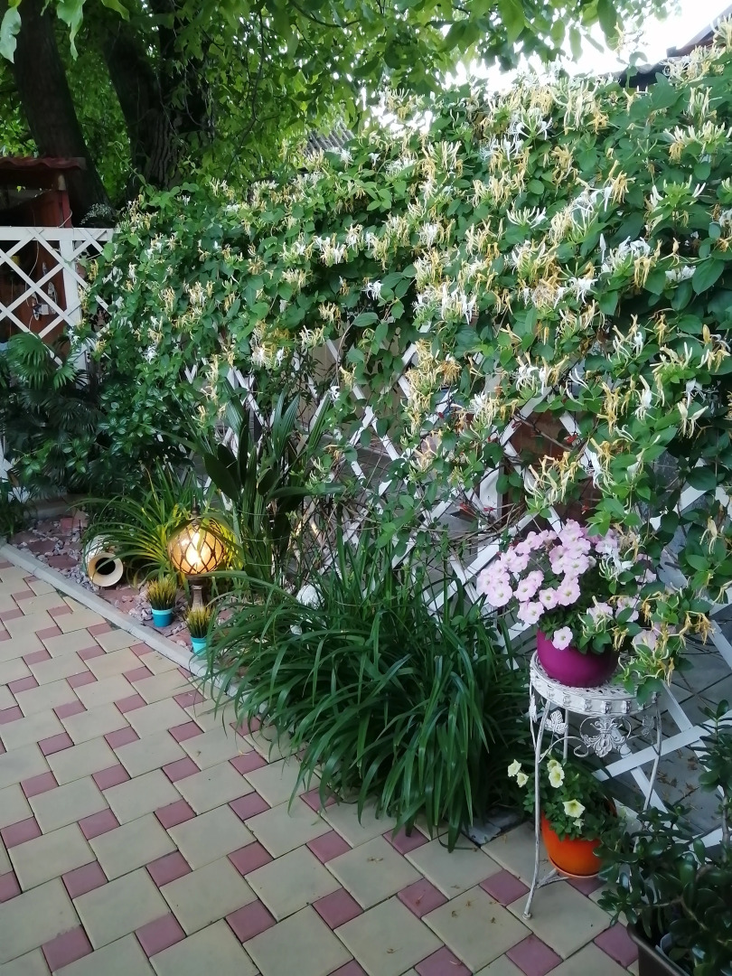 Частный дом На Ростовской 50