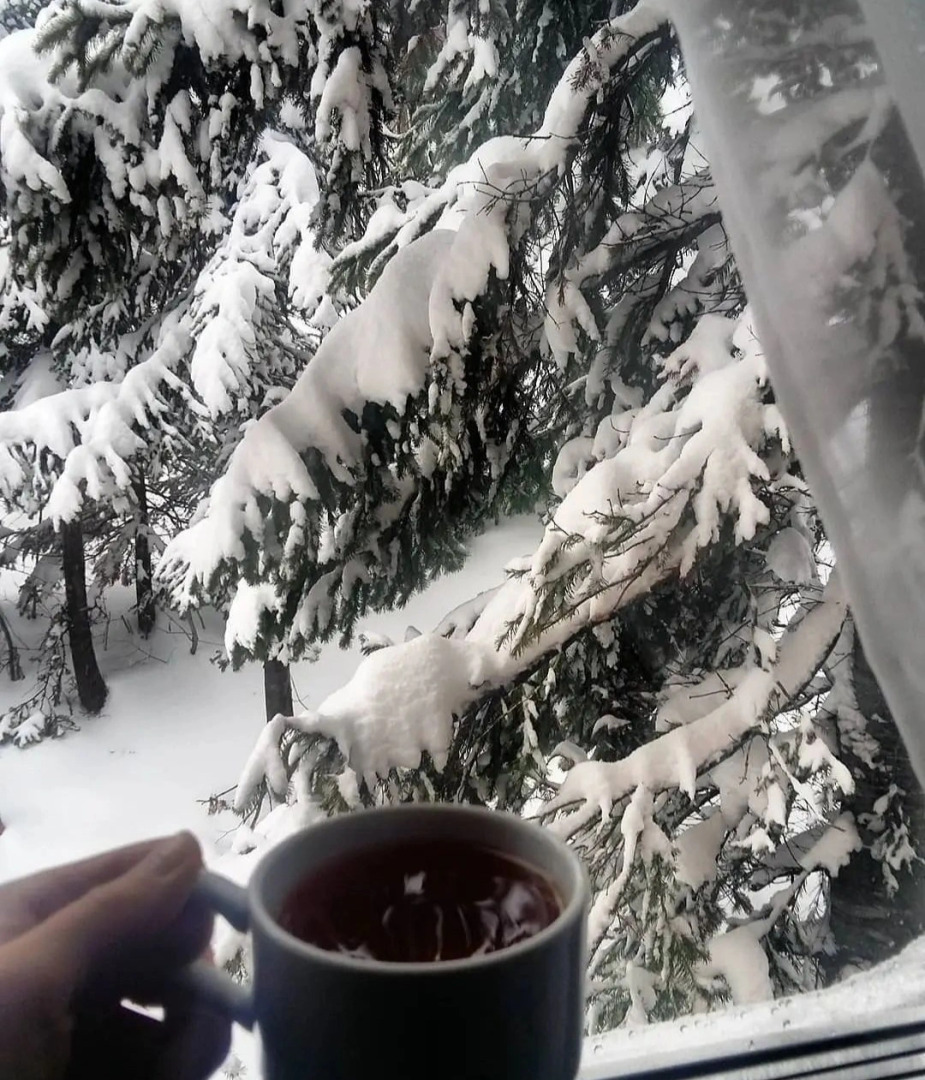 Гостевой дом Шиповник