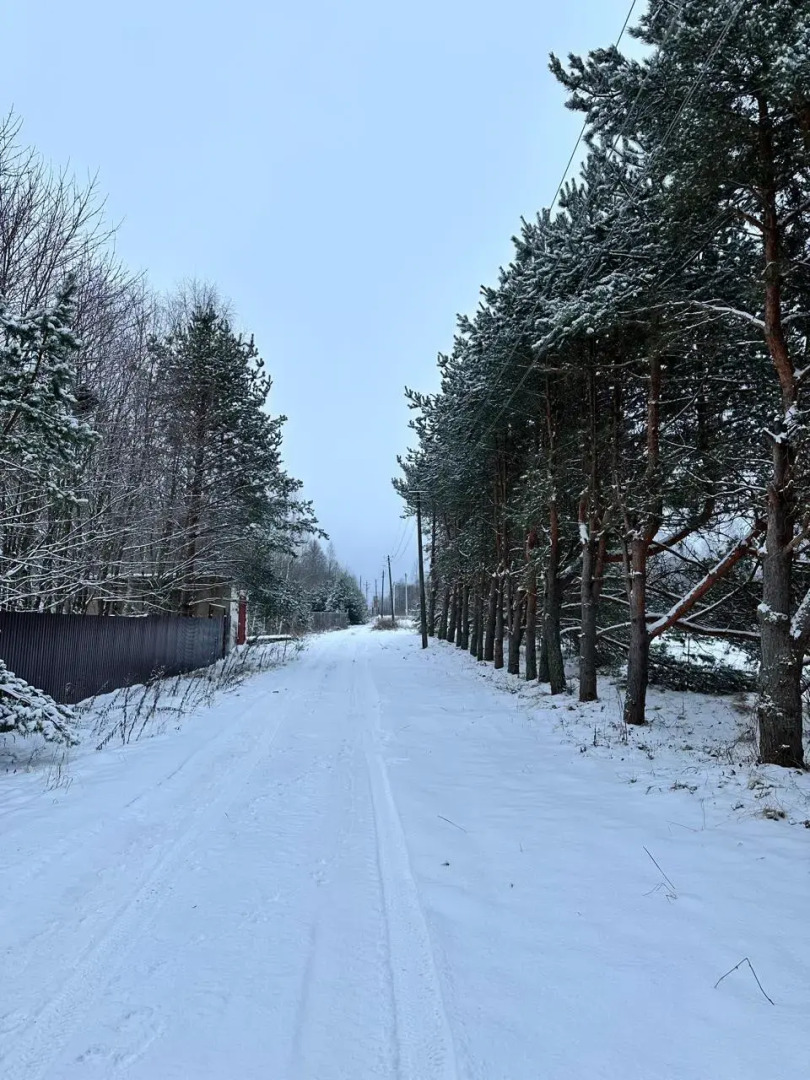 Гостевой дом Чудиново 33