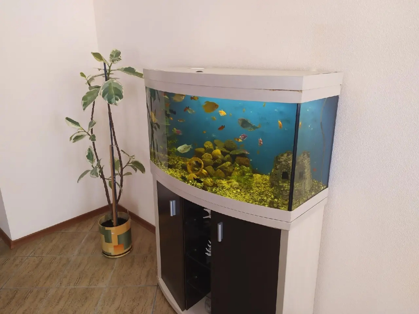 Гостевой дом Жефферсон 2