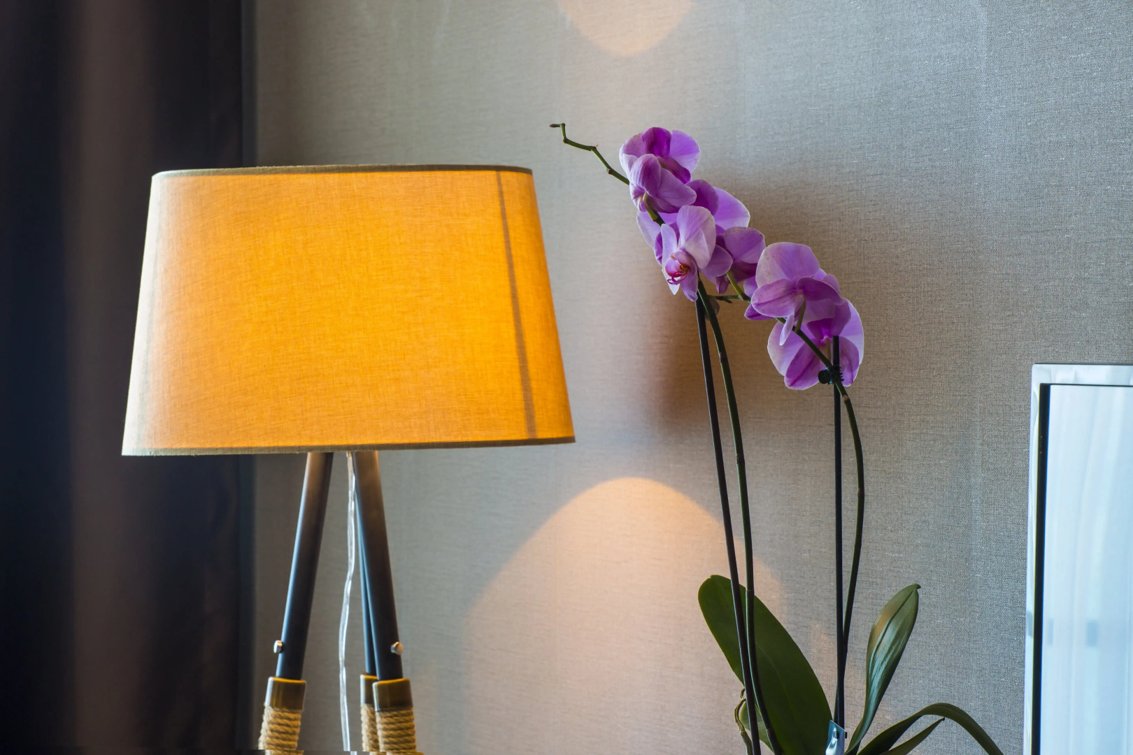 Отель Royal Comfort