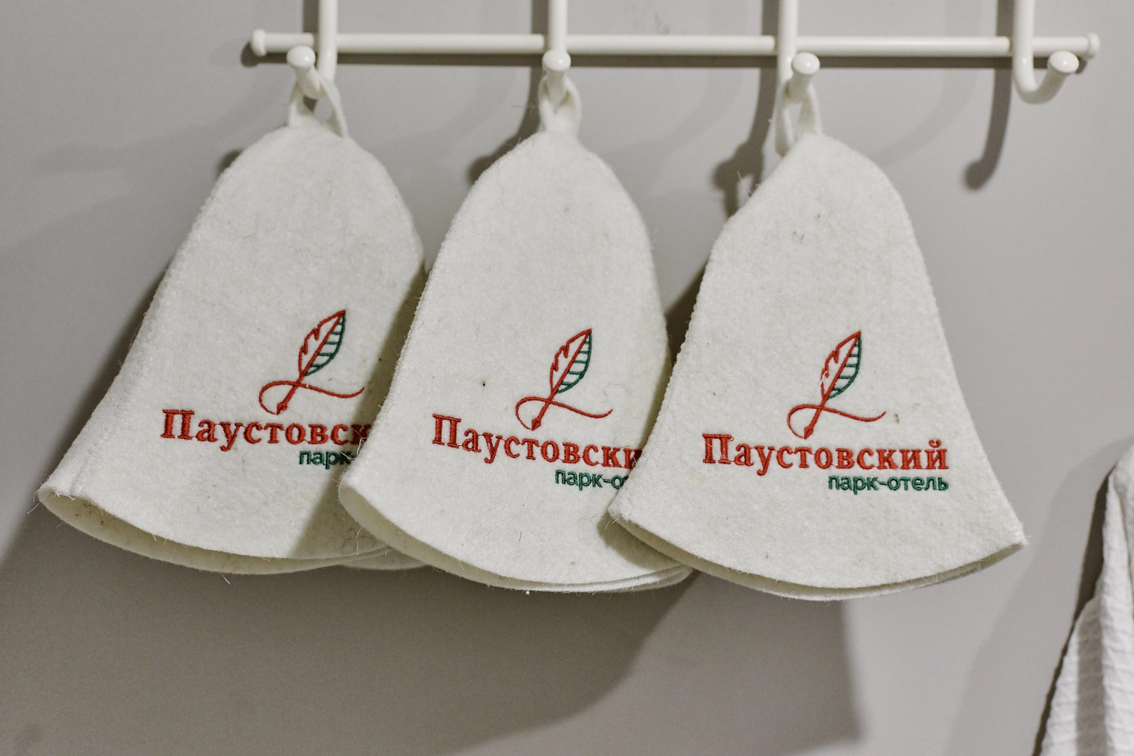 Парк-отель Паустовский