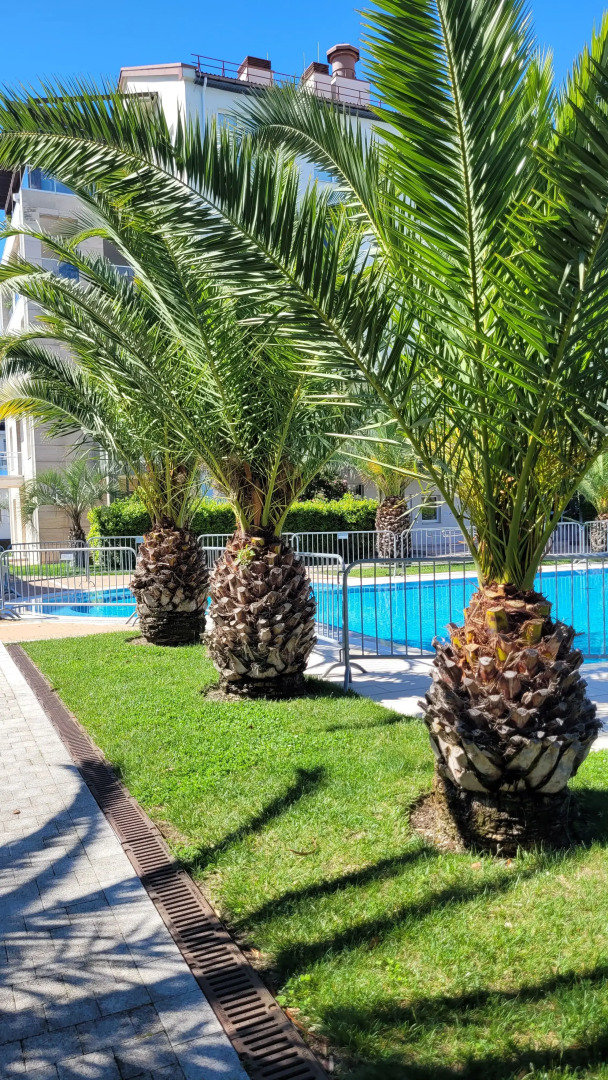 Апартаменты АК  Морской квартал