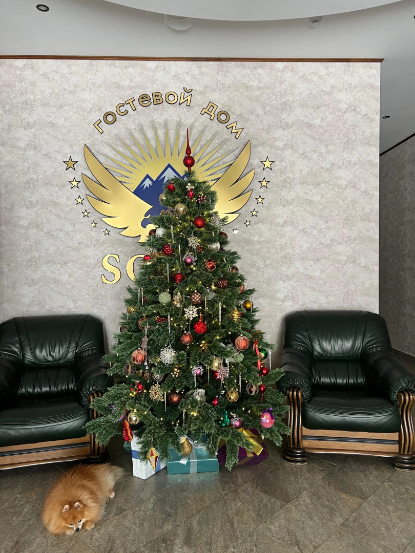 Гостевой дом Сокол