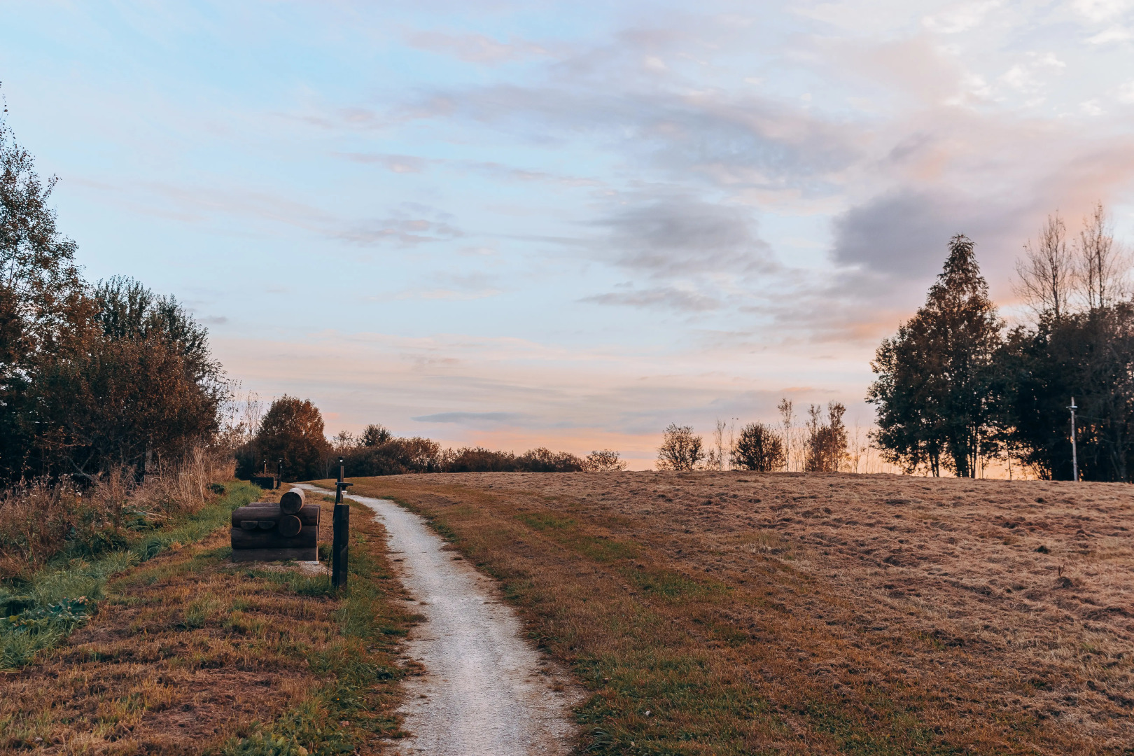 Кемпинг ForrestHome