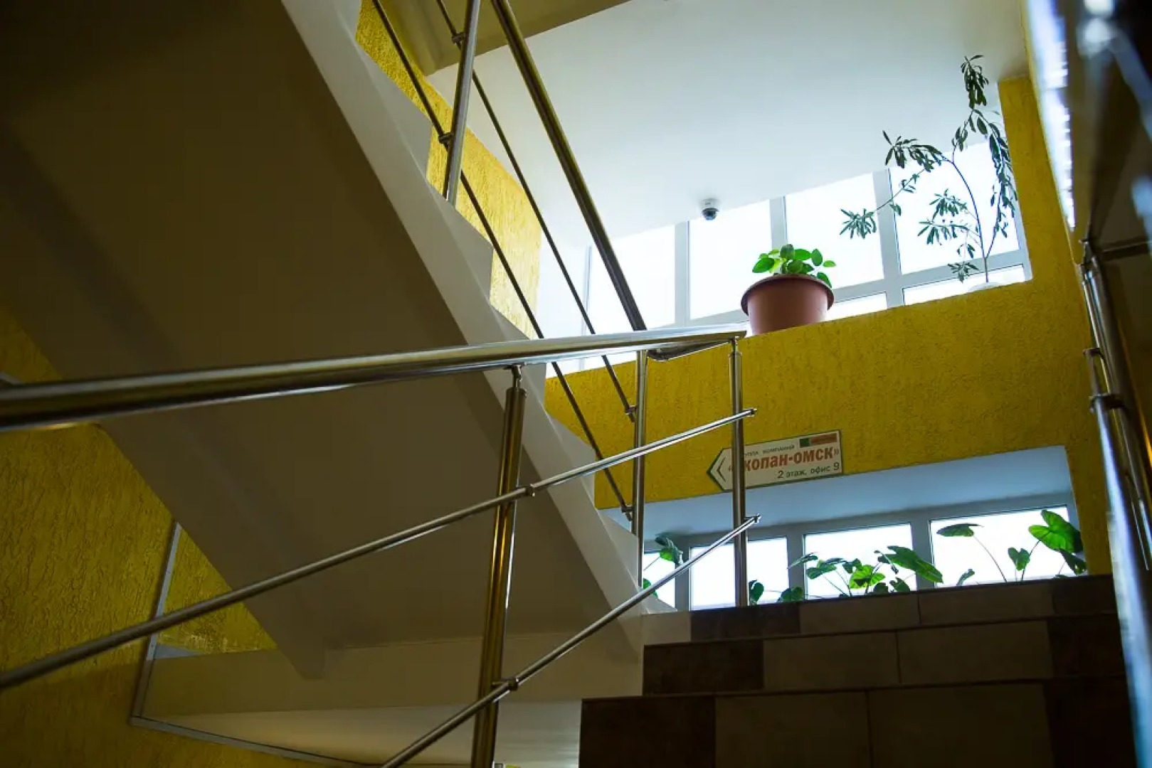 Отель Золотой лев