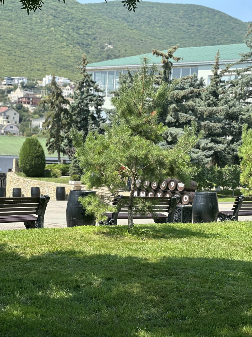 Апартаменты на Счастливом переулке