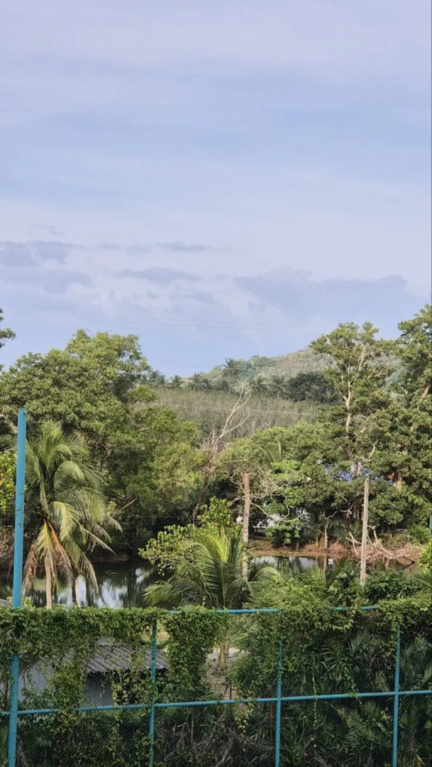 Апартаменты уютные в уютном месте на Пхукете рв331