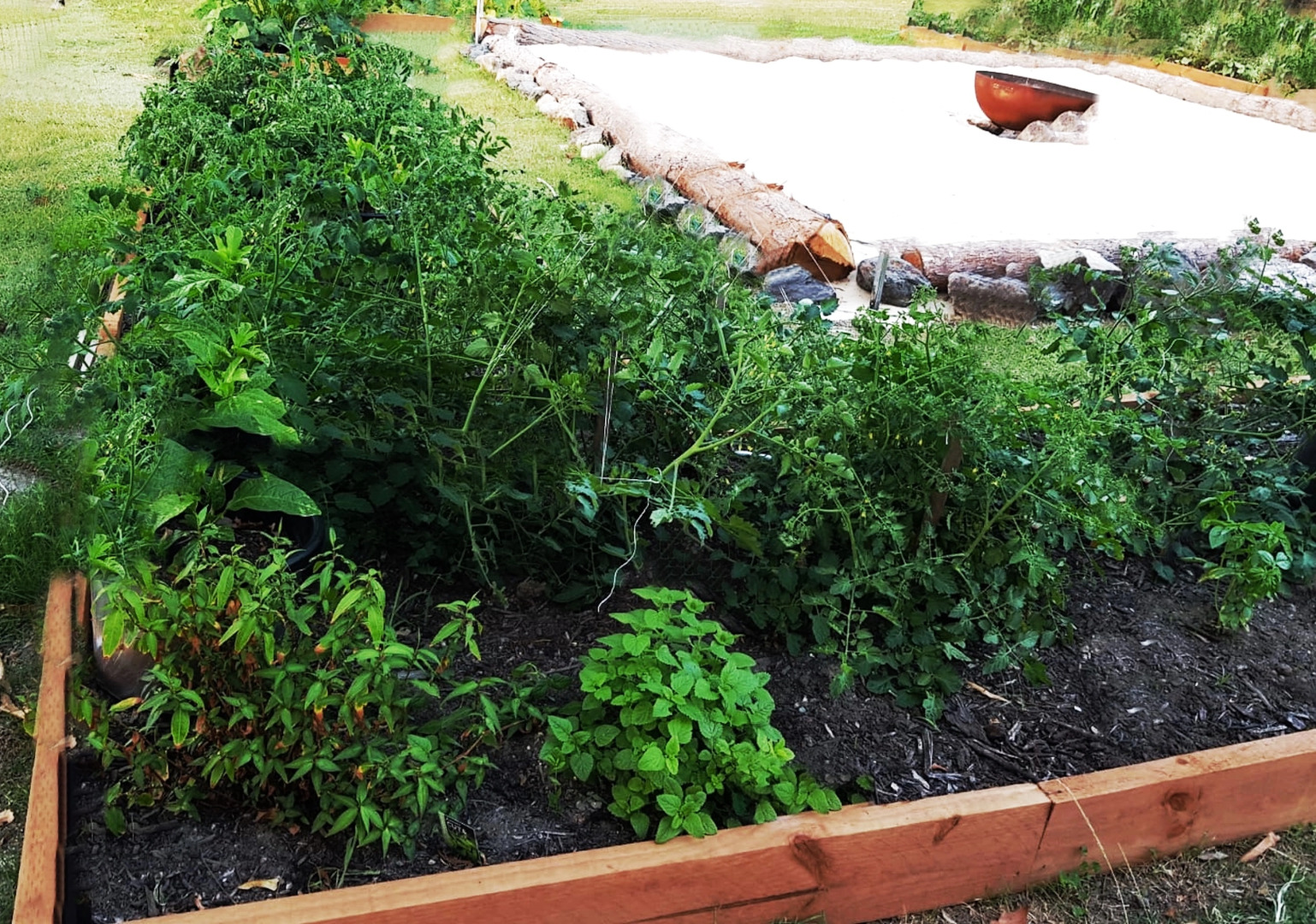 Гостевой дом Tranquilo Beach House