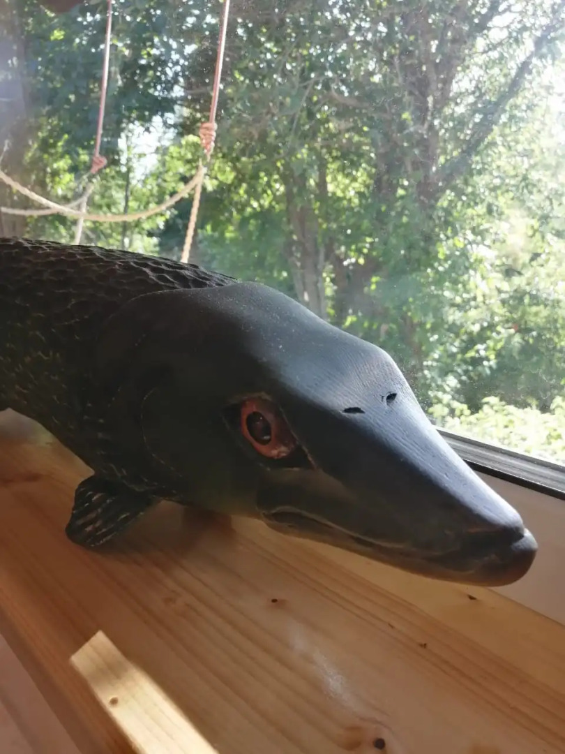 Гостевой дом Меличуярви Щука