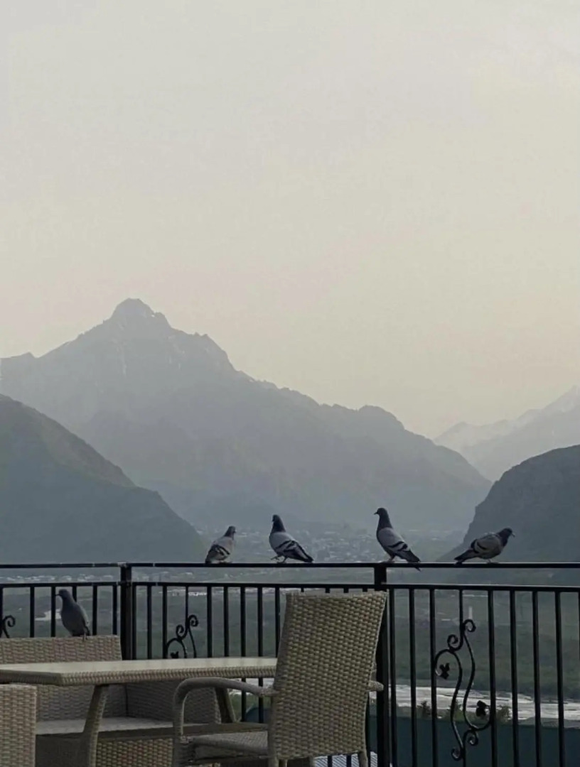 Отель Mood  Kazbegi